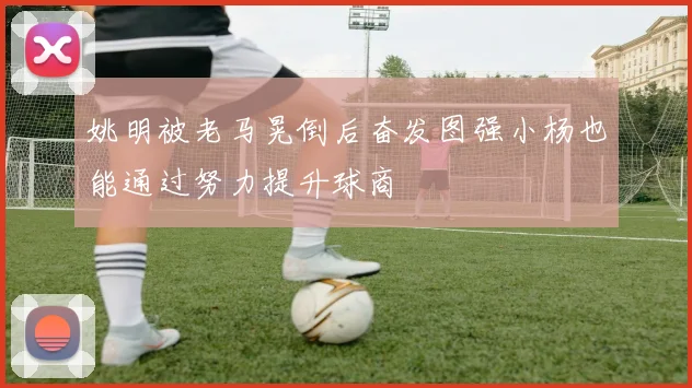 姚明被老马晃倒后奋发图强小杨也能通过努力提升球商
