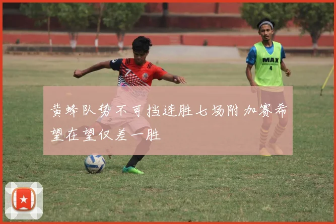 黄蜂队势不可挡连胜七场附加赛希望在望仅差一胜