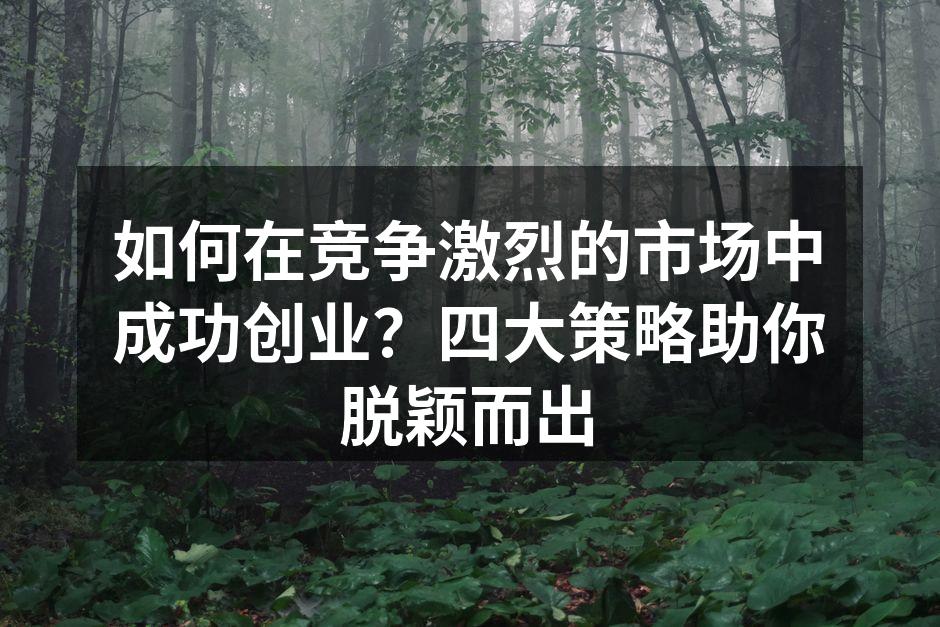 如何在竞争激烈的市场中成功创业？四大策略助你脱颖而出