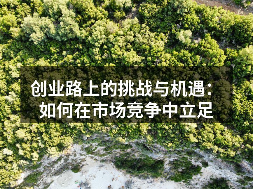 创业路上的挑战与机遇：如何在市场竞争中立足